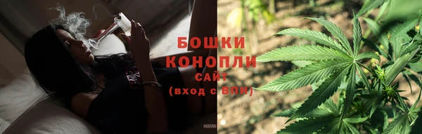 дмт Пестово