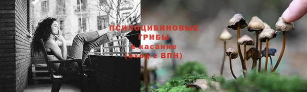 сатива Остров