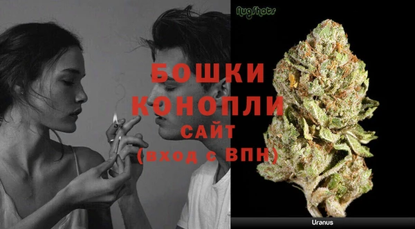 герыч Пересвет