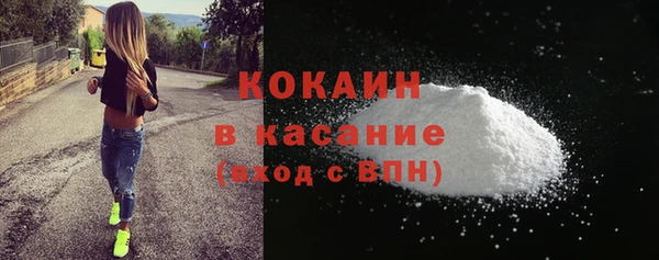 дмт Пестово