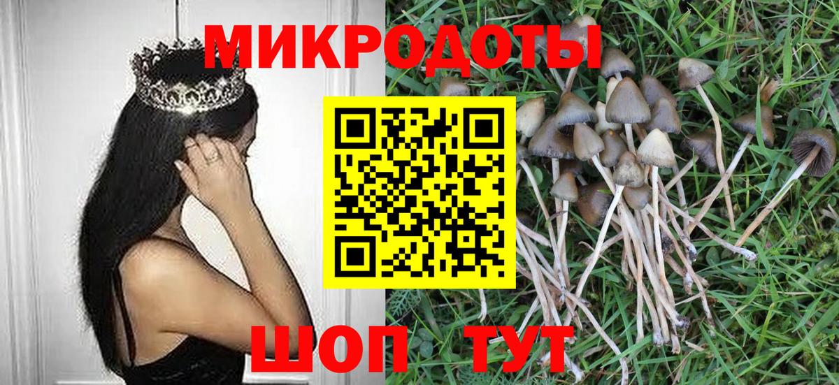 Галлюциногенные грибы мухоморы  Псилоцибиновые грибы Psilocybine cubensis  Рузаевка  Вход с VPN 