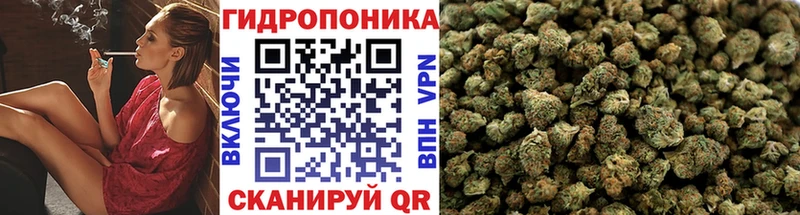 цена наркотик Рузаевка Шишки марихуана ГИДРОПОН